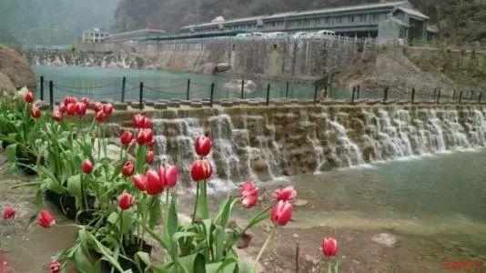 西安征途保养车价格 汽车大保养，已开了7.5万公里，雪佛兰科鲁兹，大概多少钱？游戏画面